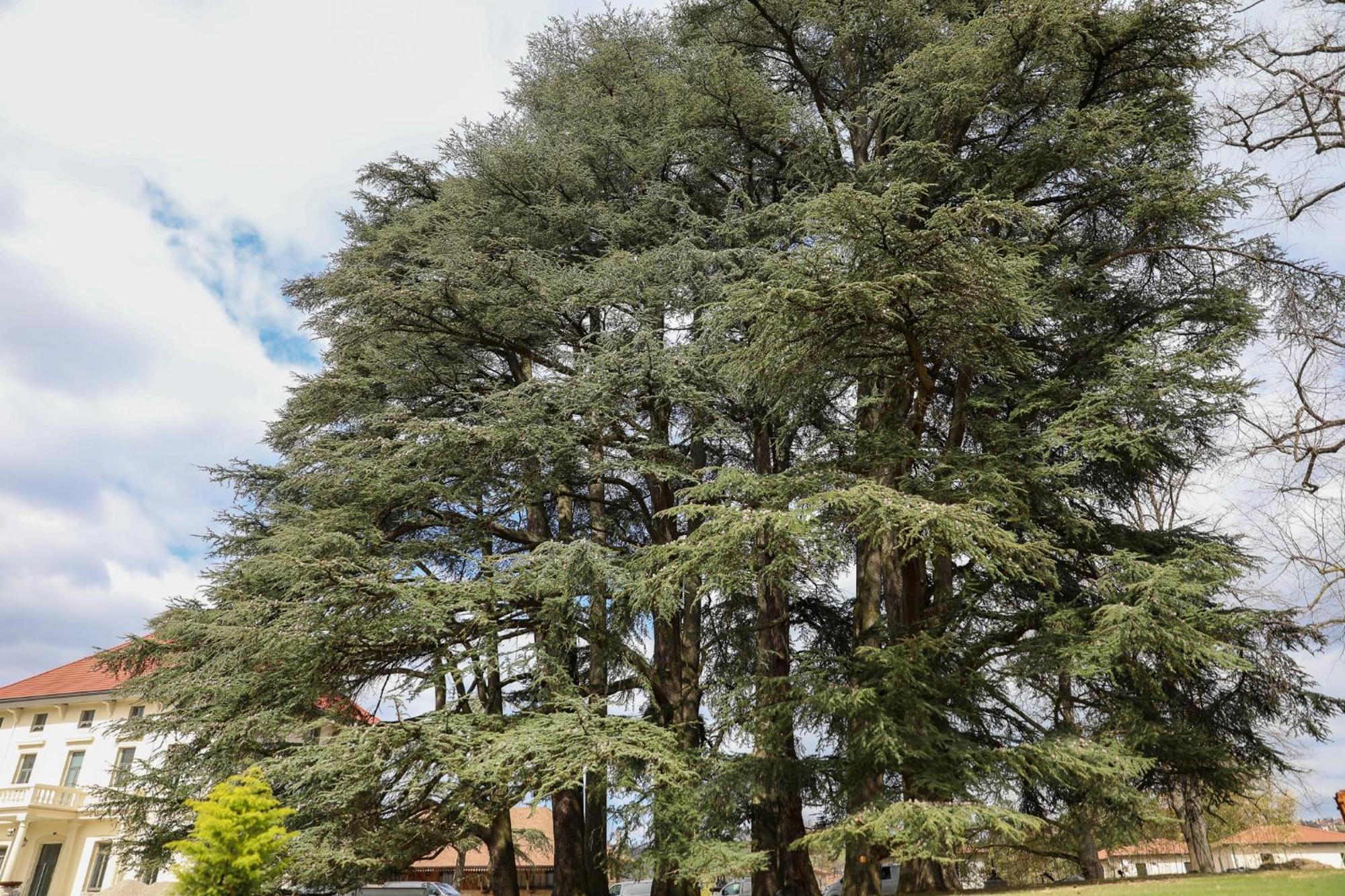 Sequoias Golf & Ressort Hotel Ruy-Montceau Exterior foto